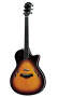Taylor T5 Thinline Fiveway Standard Spruce Cutaway Acoustic-Electric Guitar (with Case)