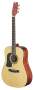 Washburn D10SLH Left-Handed Dreadnought Acoustic Guitar with Case