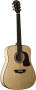 Washburn D48SW All Solid Wood Acoustic Guitar With Case