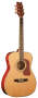 Washburn F11SC Folk Acoustic Guitar