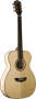 Washburn F48SW Solid Wood Folk Acoustic Guitar With Case