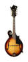 Washburn M3SW F-Style Solid Wood Mandolin With Case
