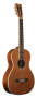 Washburn R316SWK 125th Anniversary Parlor Guitar