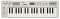 Yamaha CBXK1XG MIDI Keyboard with XG Tone Generator